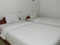 Antique Palm Hotel 