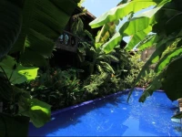 Petit Temple Suite & Spa 