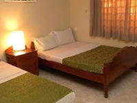 The Dancing Frog Hostel 
