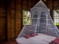 Dove Wooden House 