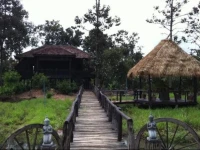 The Bong Thom Homestay by AIC 