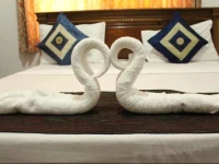 Tom & Jerry Guest House 