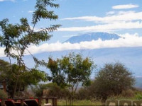 Tawi Lodge