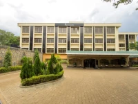 Pinecone Hotel 