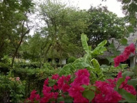 Casuarina Villas Resort