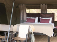 Wilderness Camp