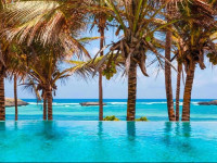 Lily Palm Resort