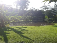 Rincon Verde 
