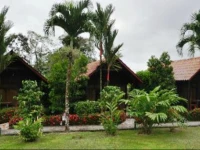 Arenal Green 