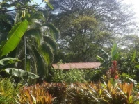 Caribbean house 