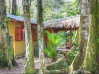 Casa del Bosque 