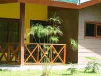Oasi 