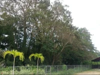 Casa de Playa Jaco 