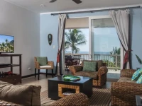 Palms 403 