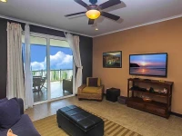 The Palms 502 