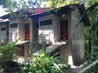 Luz de Mono 