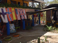 Pura Vida MINI Hostel - Tamarindo Costa Rica