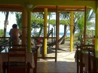 Cabinas Icaco Tortuguero 