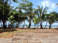 Paisajes del Tortuguero