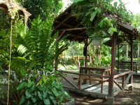Taylors Place Tortuguero Costa Rica