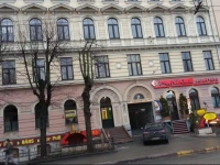 Tiger Hostel 