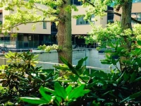 Saules Club Apart Hotel 