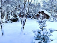 Romantic house 