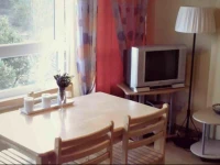 New and cozy apartment in Druskininkai 