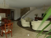 Mega House 