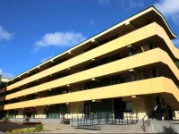 BangЕі Apartamentai Palangoje 