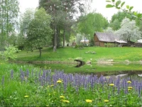 Manor Ustas 