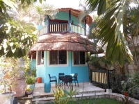 Casa Gatos 3*