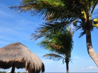 Del Sol Beachfront 