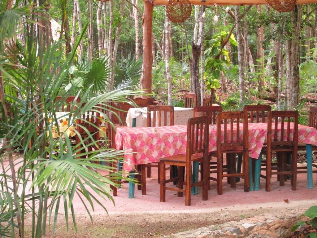Organic Yoga Mexico 