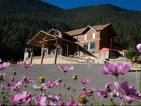 Bosques de Monterreal 