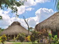 Villas Ecotucan 