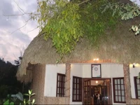 Ecolodge Naha - Selva Lacandona 