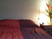 Casa Alebrije 