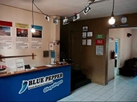 Blue Pepper Hostel Chapultepec 