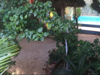 Isla Caracol