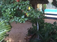 Isla Caracol 