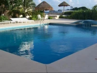 Salvia Cancun 