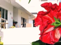 Hotel Spa VF Cuernavaca 