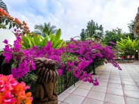 Villa del Bosque 