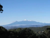 Bosque Escondido 