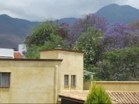 Casa Colon 
