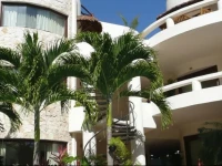Blue Palms 