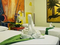 Villas Adela 3*