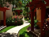 Casa Camelia B&B 