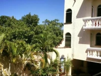 Alamos 